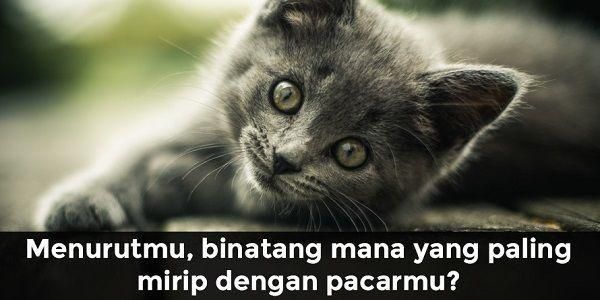 Sumber Gambar: stocktookapic.com