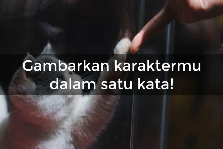 unsplash.com/Wang Xi