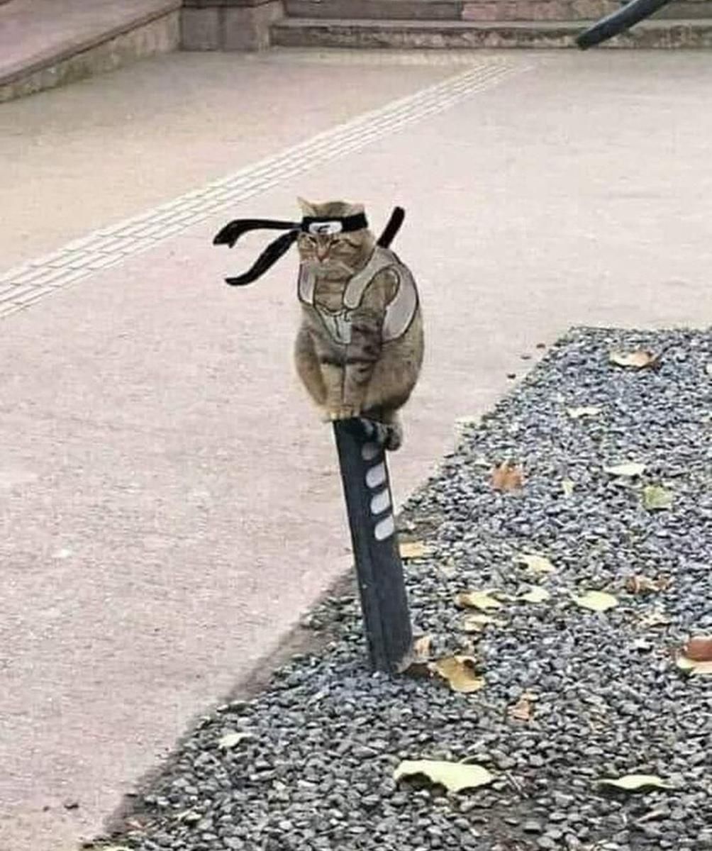 E_8IbBkVIAk8LeP.jpg
