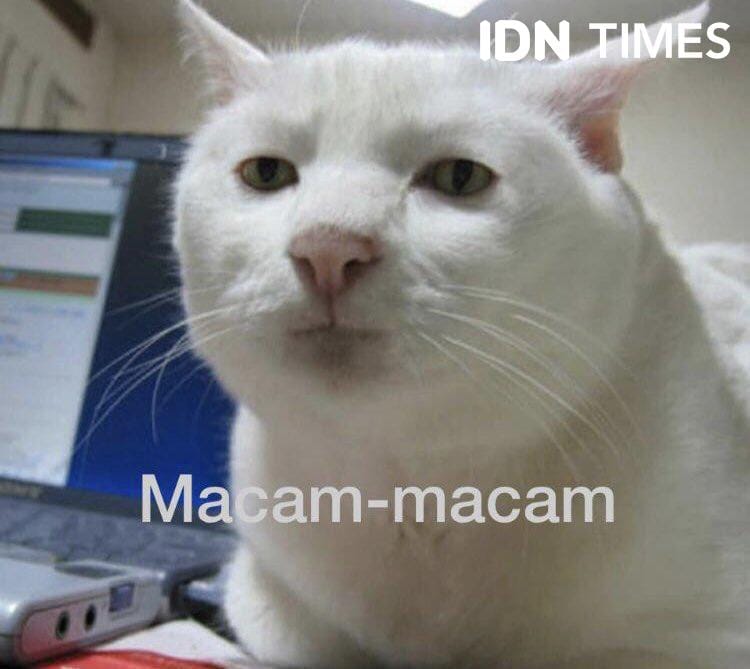 Bagaimana Jumlah Cincin Pohon Menunjukkan Umur?